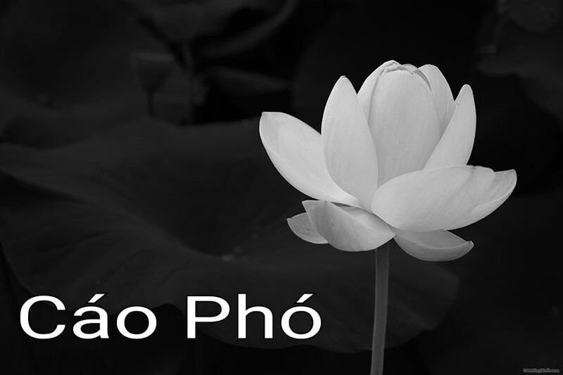 CÁO PHÓ LÀ GÌ? CÁC MẪU CÁO PHÓ PHỔ BIẾN HIỆN NAY