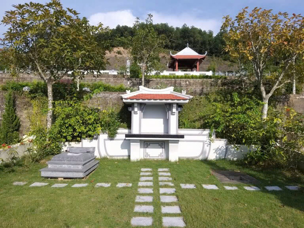 cây trồng ở mộ