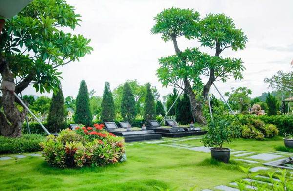 cây trồng ở mộ
