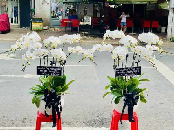 hoa lan trắng đám tang