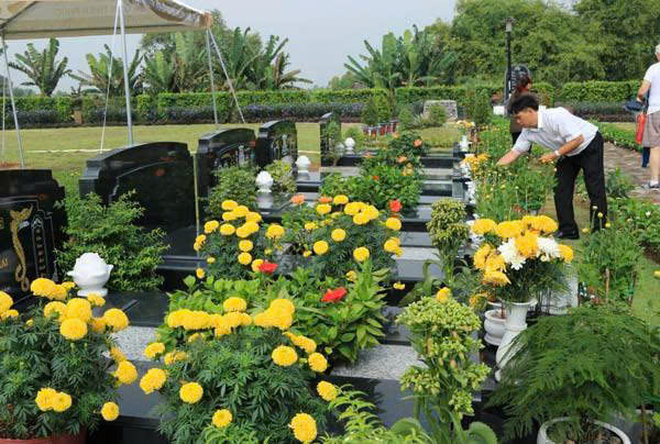 Hoa trồng ở mộ