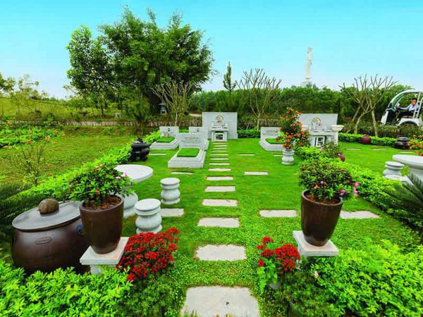 Hoa trồng ở mộ