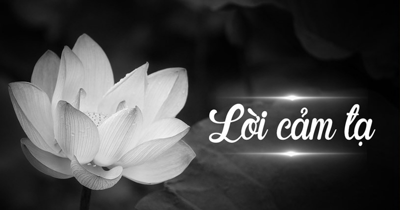 MẪU LỜI CẢM ƠN SAU ĐÁM TANG NGẮN GỌN, Ý NGHĨA VÀ CHÂN THÀNH