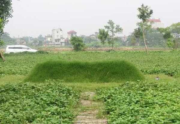 mộ kết